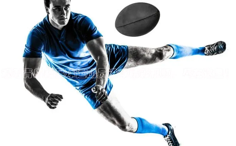 意昂体育4官网挪威主权基金